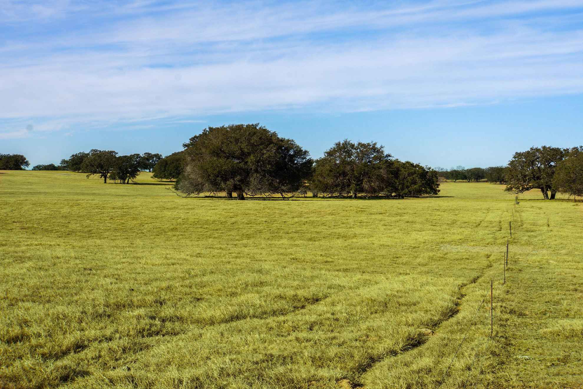 870 acres in Medina County, Texas Texas Land and Ranch Co Morris